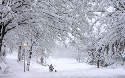 Winter Restrooms